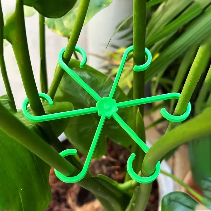 Flower Plant Stem Support Stak - Plant Support Stake 评论和价格