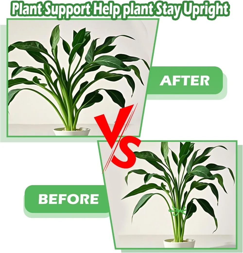 Flower Plant Stem Support Stak - Plant Support Stake 评论和价格