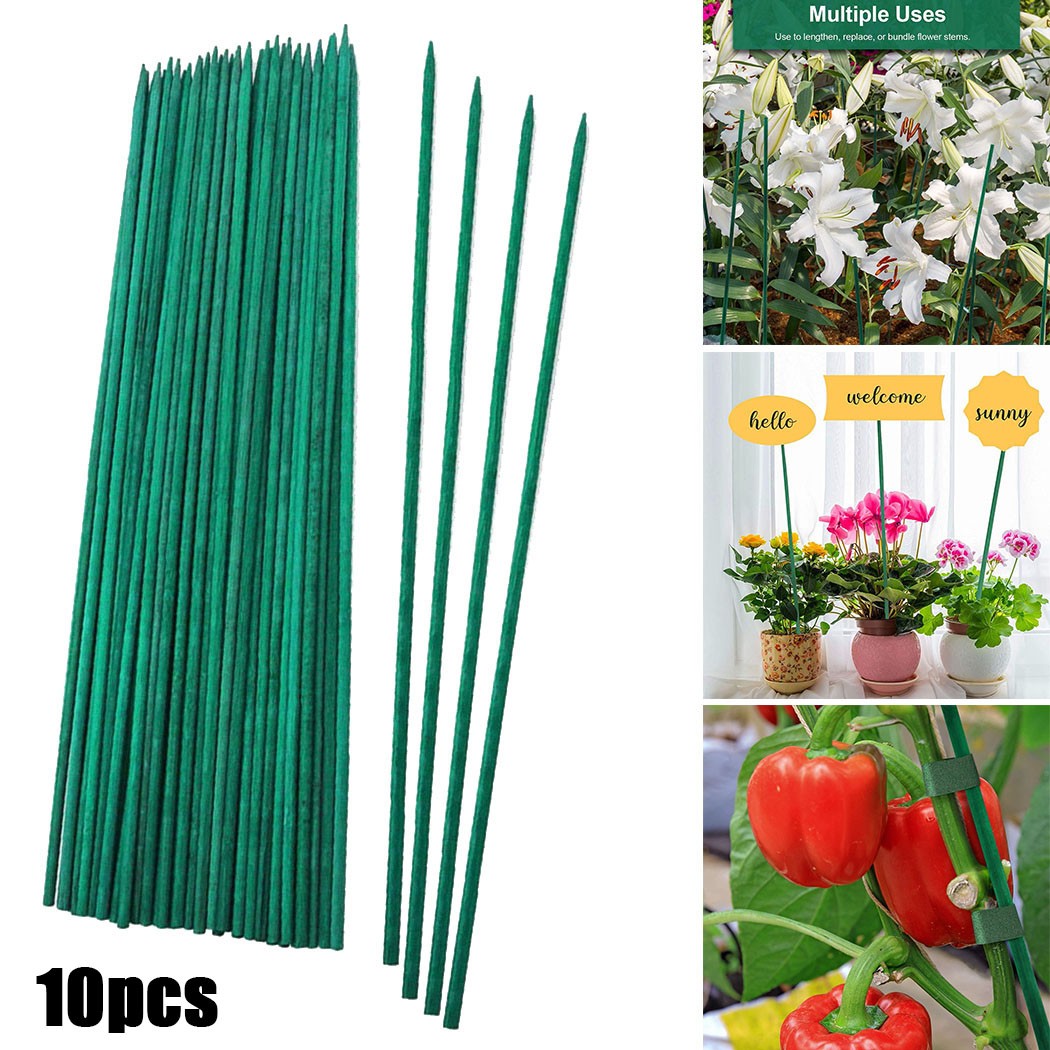 10pcs 40cm Green Plant Support - Plant Support Stake 评论和价格