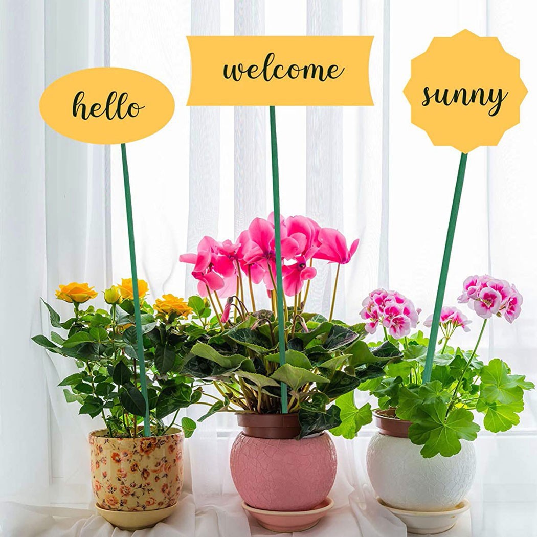 10pcs 40cm Green Plant Support - Plant Support Stake 评论和价格