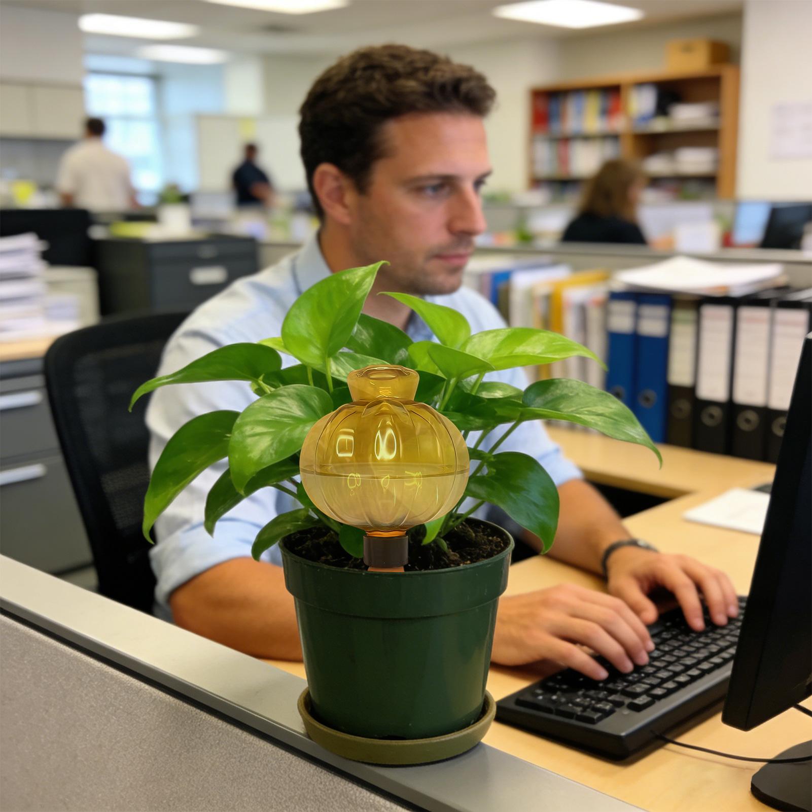 Plant Watering Globes 17Oz Aut - Indoor Plants 评论和价格