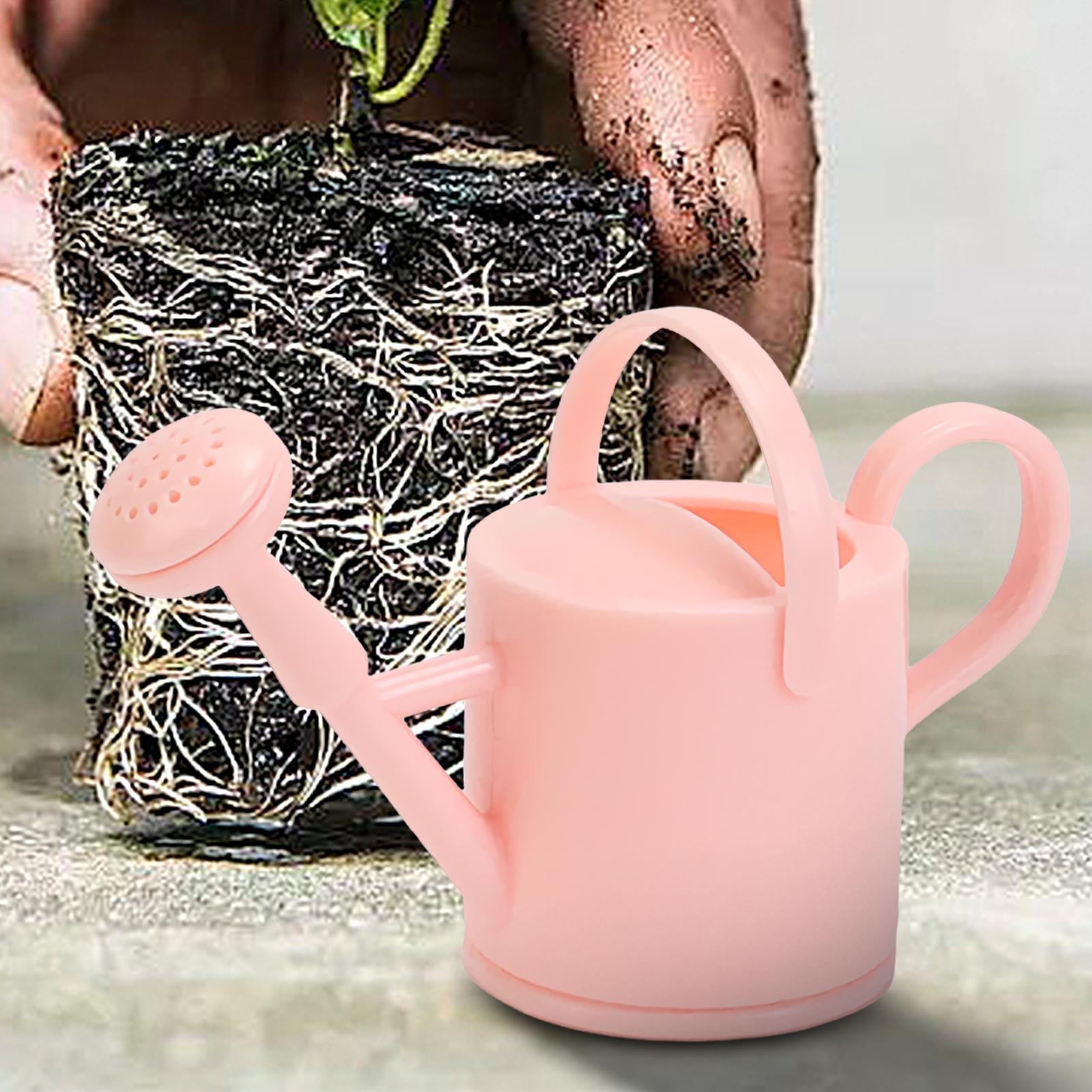 Small Kids Watering Can Flexib - Succulent Set 评论和价格