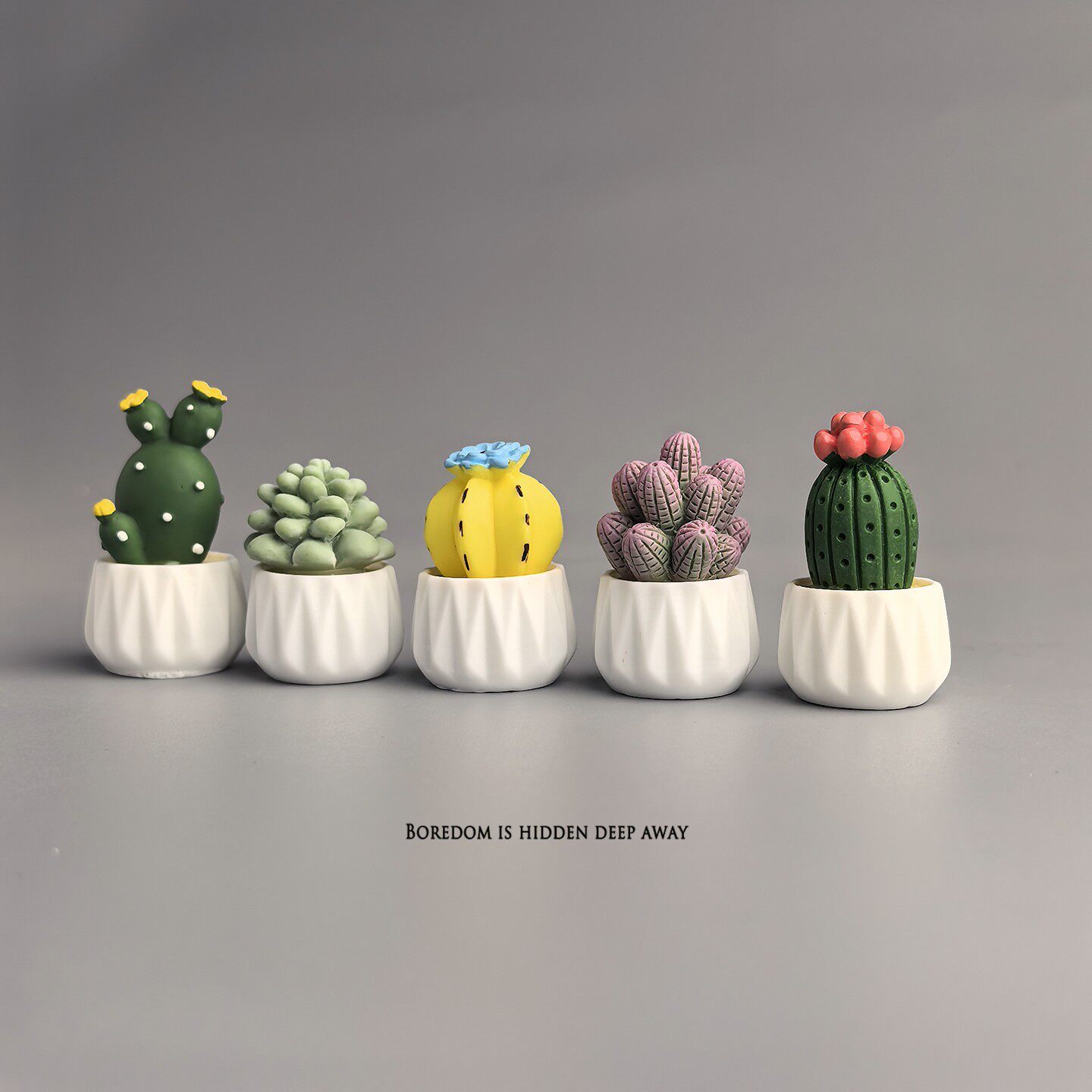 Potted Cactus Succulent Mini W - Succulent Set 评论和价格