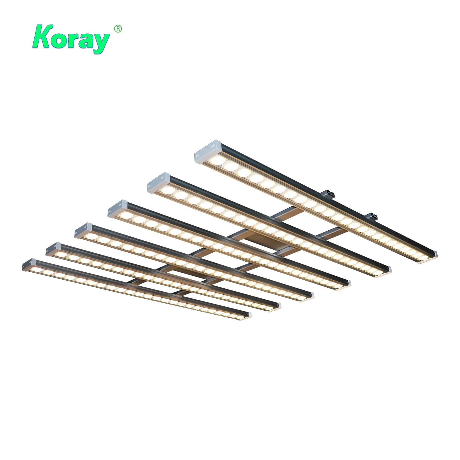 Koray 900W Indoor full spectru - Indoor Plants 评论和价格