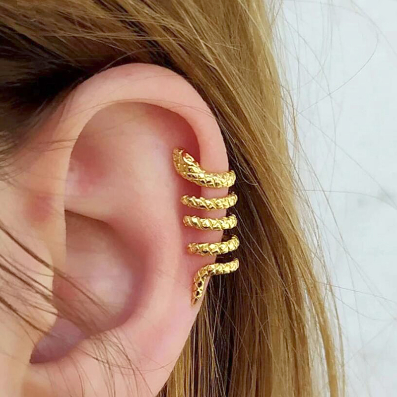 1PC Plated 24K Gold Vintage Cr - Snake Plant 评论和价格